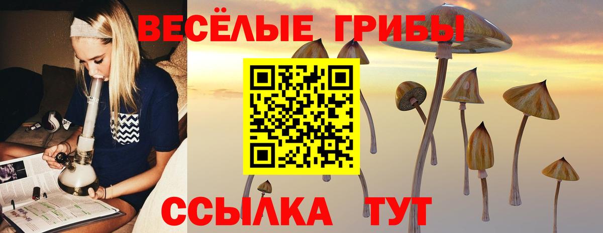 Кемерово  Псилоцибиновые грибы GOLDEN TEACHER  магазин  наркотиков  Вход с VPN  Псилоцибиновые грибы GOLDEN TEACHER 